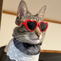 かえで (@gyakijnxwz77941) 's Twitter Profile