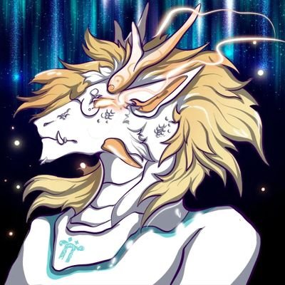 shenchuanzong1's profile picture. 