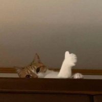 Brian (@wrffadt) 's Twitter Profile