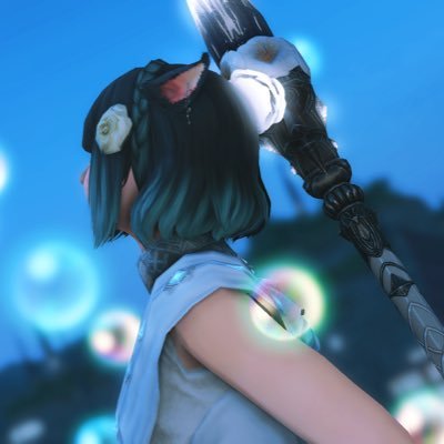 かわいいおもめ