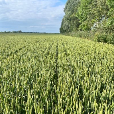 UKAgronomyOne's profile picture. 