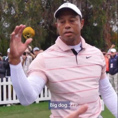 ZipSageee's profile picture. Keen Investor