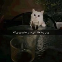 شهد🇸🇦 (@2azxu) 's Twitter Profile