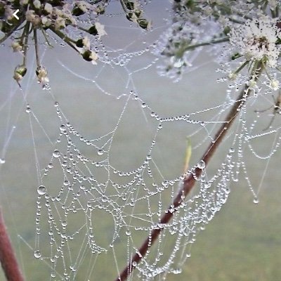 kouvouri's profile picture. 2 Year Artist