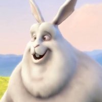 Conejo Gordo (@diegorebareba) 's Twitter Profile