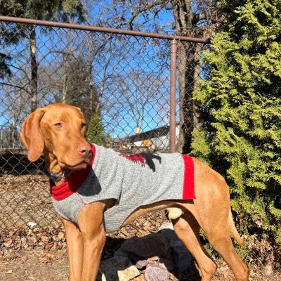 bradallenwi's profile picture. Brewer, Packer and Badger fan
