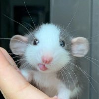 ría. (@marijo92010) 's Twitter Profile