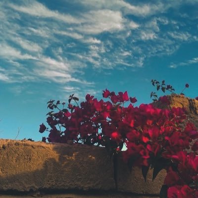 طفلة ناضجة صبية شقية لا تظن فيها ولا تحكم عليها🎀أنتمي للطبيعة أحب الخريف والشتاء والكتابة والبساطةً ومتيمه بحياة الريف🍃{وتوفَّني مُسلمًا وألحقني بالصَّالحين }