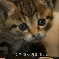 비밀번호잊은토이의스케치북🐬🇰🇷 (@to_i_ng) 's Twitter Profile
