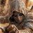 CUribe27037's profile image