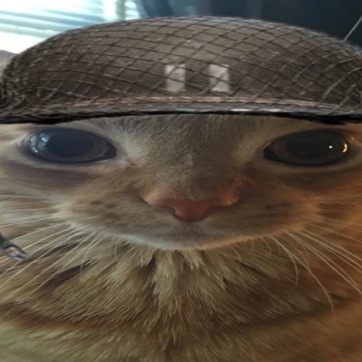 ddgs03857928's profile picture. En gammel Rust gamer