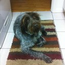 scott tull - @ScottTull - Twitter