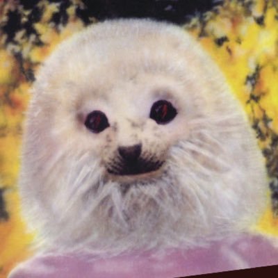 babybelial's profile picture. skalt yerde