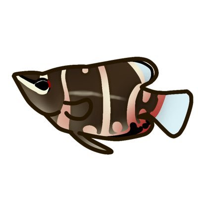 JUNYA_MAN's profile picture. 放送大学 08年入学 現在学部6周目 エキスパート16個取得 祖母のお世話係 ミュージック ファッション 漫画 ポケモンGO トレーナーコード 2726 6487 7425 ドラクエウォーク アクアリウム 熱帯魚 チョコレートグラミーとその仲間たち 水草 イシガメ ポタリング ヘビーリスナー リトルトゥース ゲスナー