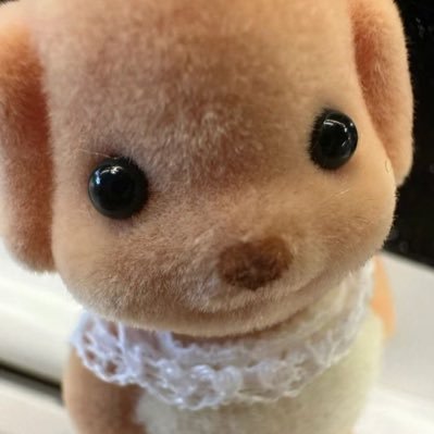 ゆずさんのプロフィール画像