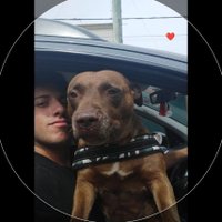 Valentin De Felipe (@valen_defelipe) 's Twitter Profile