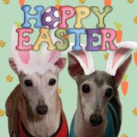 Rear Admiral Angel KeelanKilee(KnK)Happy RIP Stan (@iggiesrule89) 's Twitter Profile Photo Rear Admiral Angel KeelanKilee(KnK)Happy RIP Stan (@iggiesrule89) 's Twitter Profile Photo