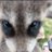 b41925245's profile image