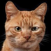 Andrey Kurbakov (@akurb18299) Twitter profile photo Andrey Kurbakov (@akurb18299) Twitter profile photo