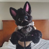 MidnightAD 🔜FWA (@subbywulfboi) 's Twitter Profile Photo MidnightAD 🔜FWA (@subbywulfboi) 's Twitter Profile Photo
