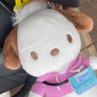 さあや🌟 (@sayamantoo) 's Twitter Profile