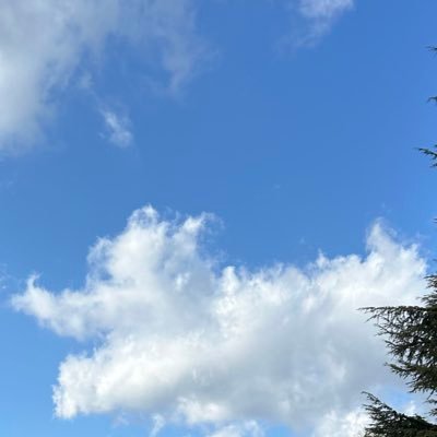 yuya20515886's profile picture. 