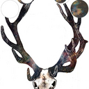 Alice Lawrence - @bleachedbone - Twitter