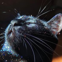 Relaxing time (@sandee02509454) 's Twitter Profile