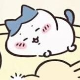 แมวในเครื่องอบผ้า🧺さんのプロフィール画像