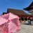 kuzuha_0227