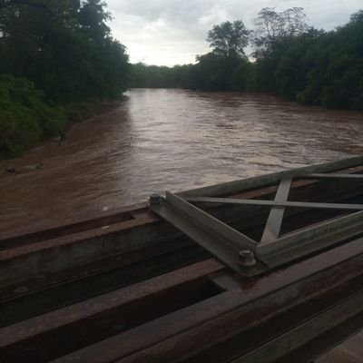 kisini_albanus's profile picture. 