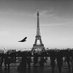 Guillaume L. (@guillaumelr) Twitter profile photo Guillaume L. (@guillaumelr) Twitter profile photo