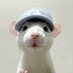 Sharah (@oyenrebus) Twitter profile photo Sharah (@oyenrebus) Twitter profile photo