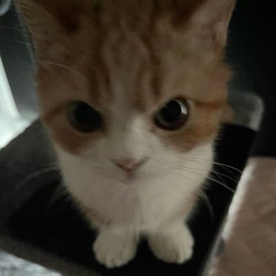 _4ysha_'s profile picture. 