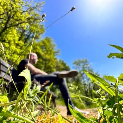 XGlitchin1's profile picture. Life enthusiast 🌍  Rational thinker 🤔  Family first ❤️  Gym addict 💪  Bitcoin wisdom seeker ₿