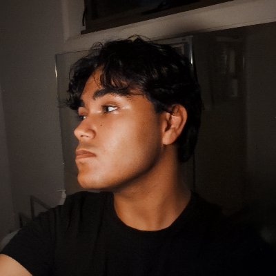 itsV4N5H's profile picture. part time musician, part time content creator, full time goof

aerospace super specialist (ass) engineer

complaints go here: v4n5h@wildfireclan.com