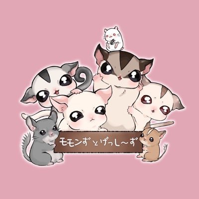 🐶チワワ1匹🐶🐹ジャンガリアンハムスター3匹🐹ロボロフスキーハムスター1匹🐹ゴールデンハムスター3匹𓄛フクロモモンガ12匹𓄛 🐭チンチラ1匹🐭デグー6匹🐭ファンシーラット5匹🐭🌈家族になってくれてありがとう🌈#今日のぼたん