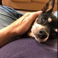 DadofGlitch (@firsttuts40) 's Twitter Profile