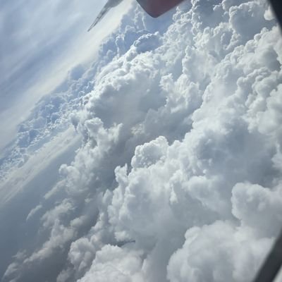 GideonK6464's profile picture. Work will win when wishy washy wikshing  won't