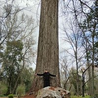 ananamadrid (@ananamadrid) 's Twitter Profile