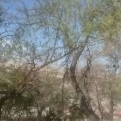 BoyTrading4077's profile picture. 