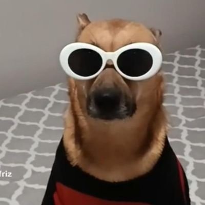 Abençoado por Deus e a sorte sempre está comigo!!!