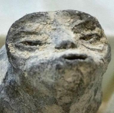 ranbpa0's profile picture. 迷子