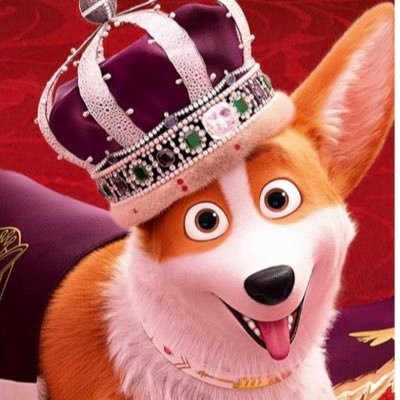 Sophie45496447's profile picture. An optimist.