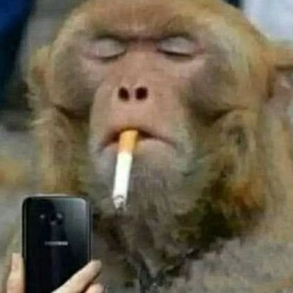 KolakjiRam76641's profile picture. 