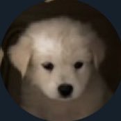 insinthegarden's profile picture. ฝันให้ไกลแล้วไปให้พ้น x 1599