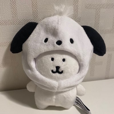 🐶と🐈‍⬛