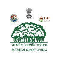 Botanical Survey of India (BSI) (@bsi_moefcc) 's Twitter Profile Photo Botanical Survey of India (BSI) (@bsi_moefcc) 's Twitter Profile Photo