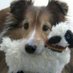 rehab doll (@aberdeeden) Twitter profile photo rehab doll (@aberdeeden) Twitter profile photo