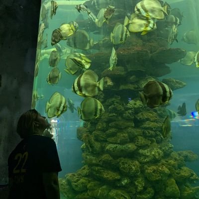 barbara_jurkic's profile picture. Here for Caitlin Clark and Luka Dončić ✌️